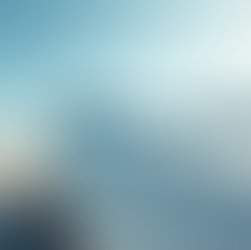 Revitalize Your Vehicle with Professional Mobile Detailing Services