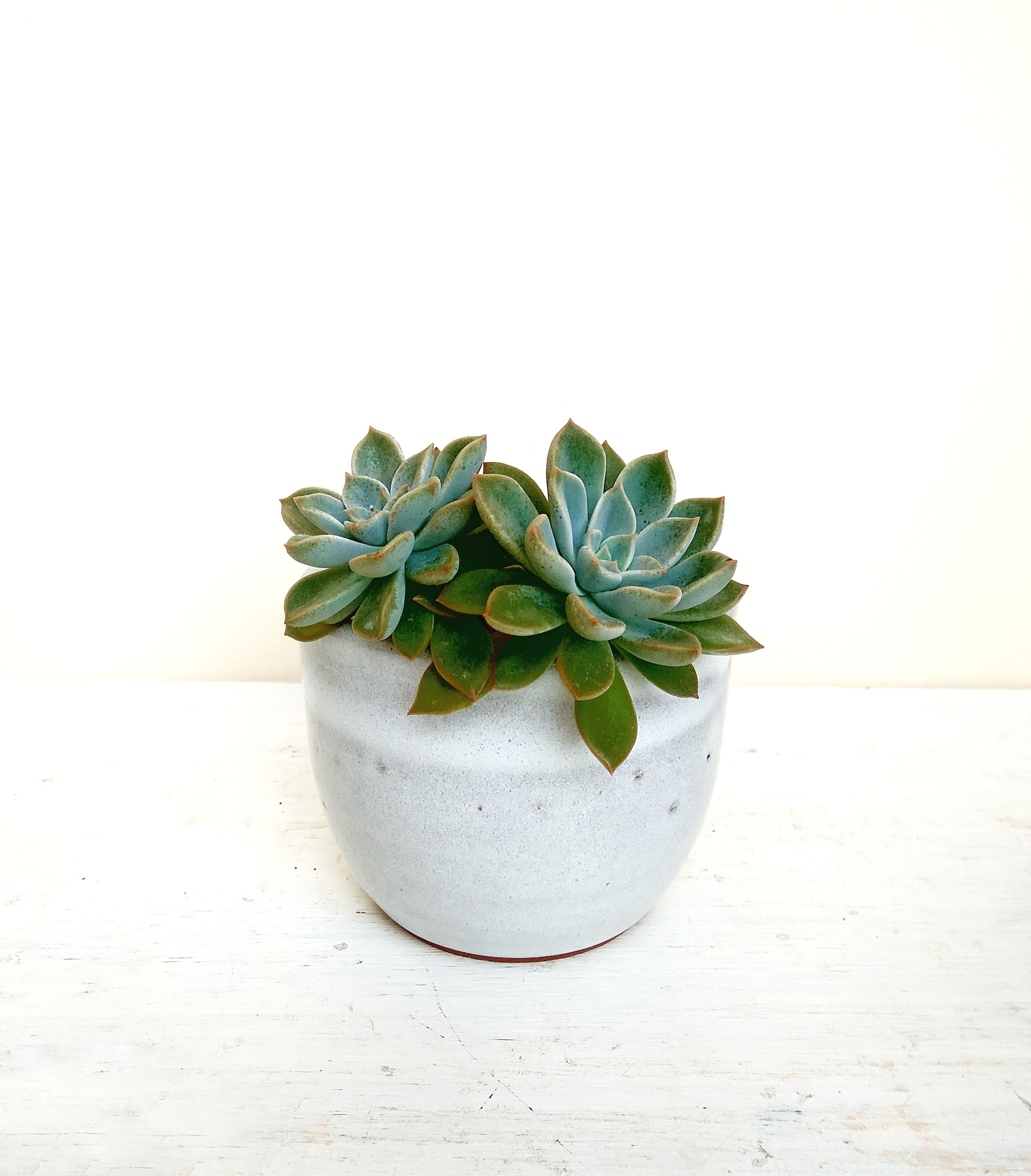 Classic White pottery starting from