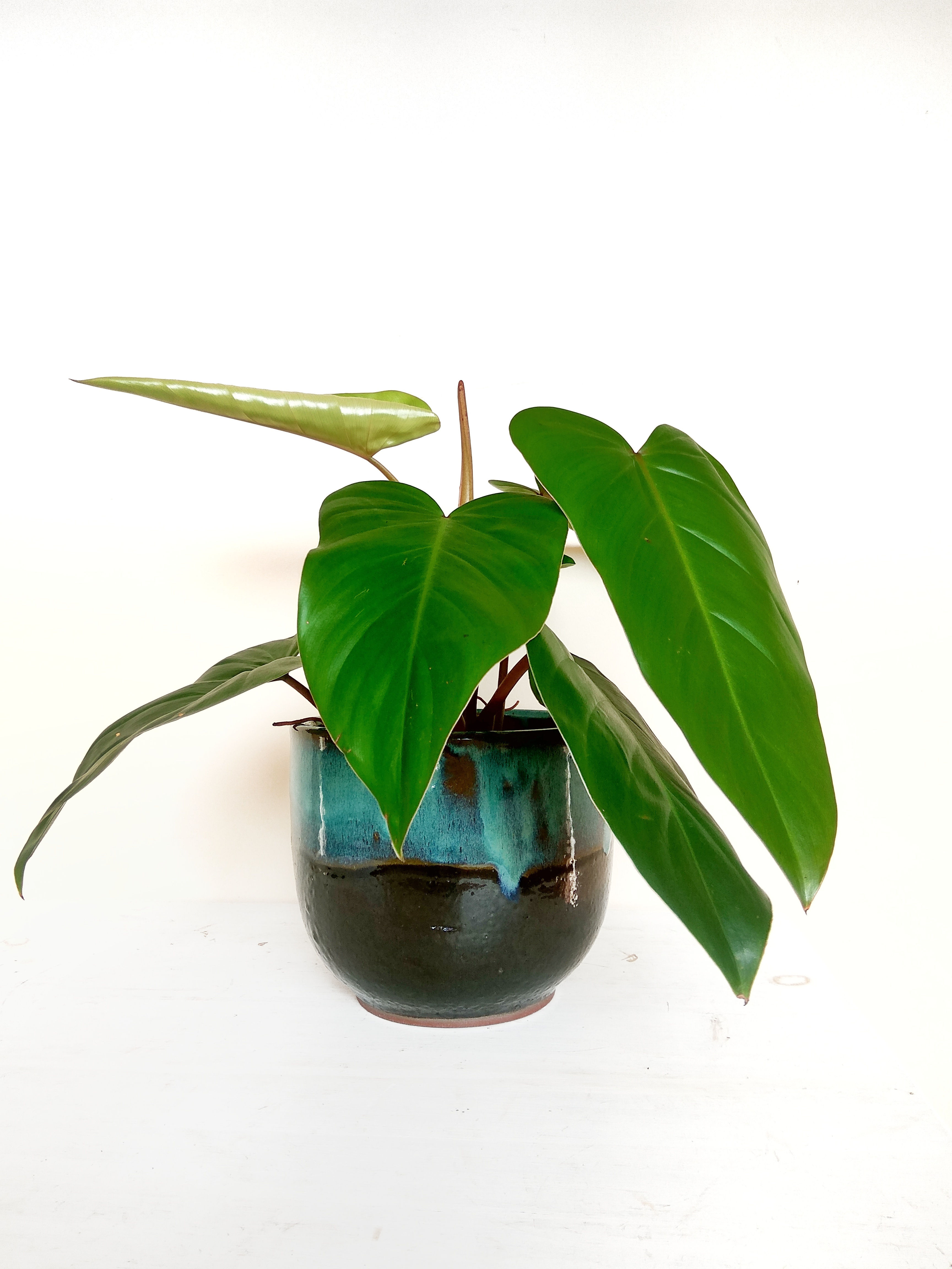 'Sky and Sea' - large and XL - starting from