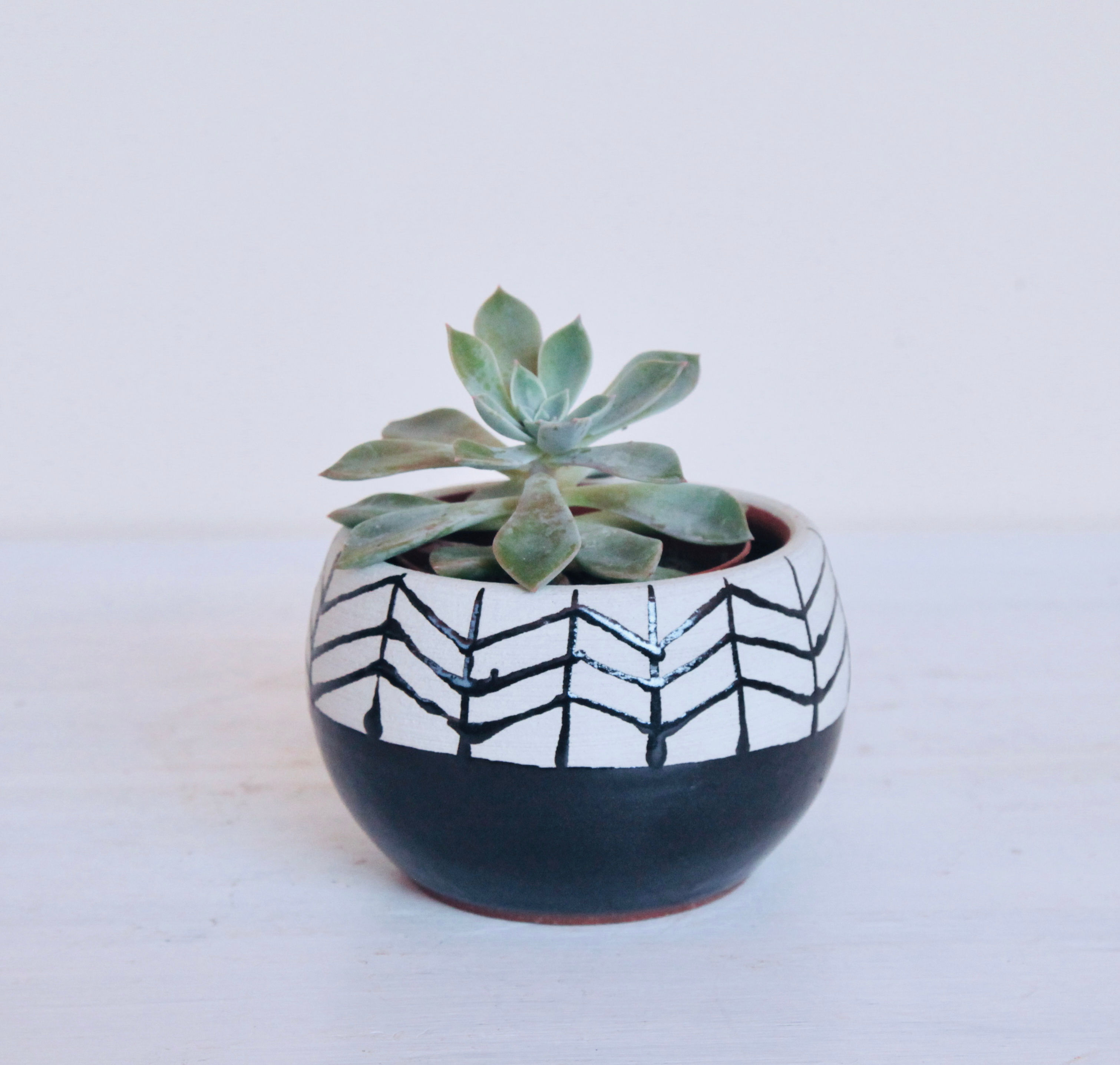 Fishbone small ceramic pot black and white