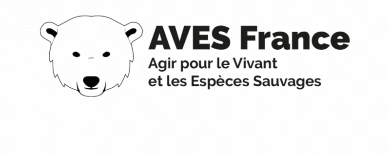 AVES_logo_2025.gif