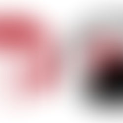 FCE mit neuem Fanshop