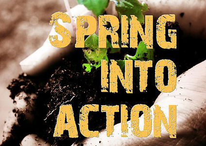spring into action slide.jpg