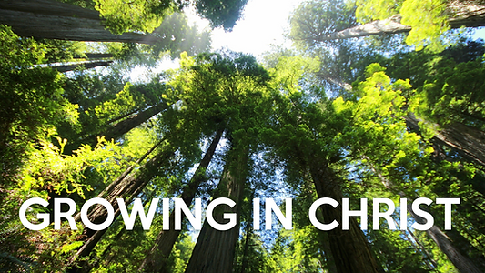 GROWING IN CHRIST.png