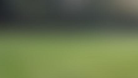 Improve Arm Swing for more Football Speed.