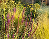 Ivanova_background_1.jpg