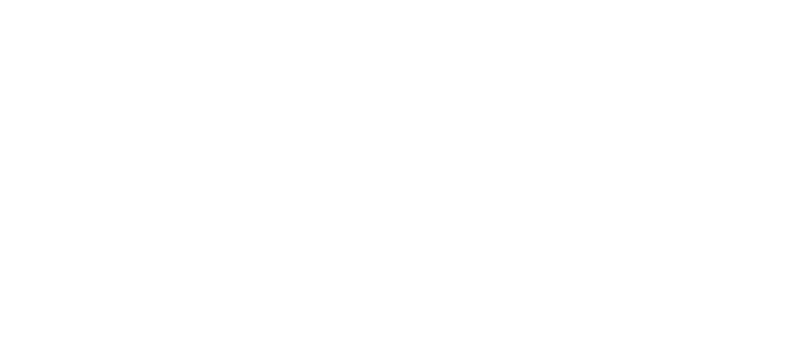 ZNOVA logo animated.