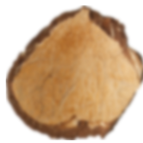 coconut 9.png
