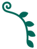 dec_g_R.png