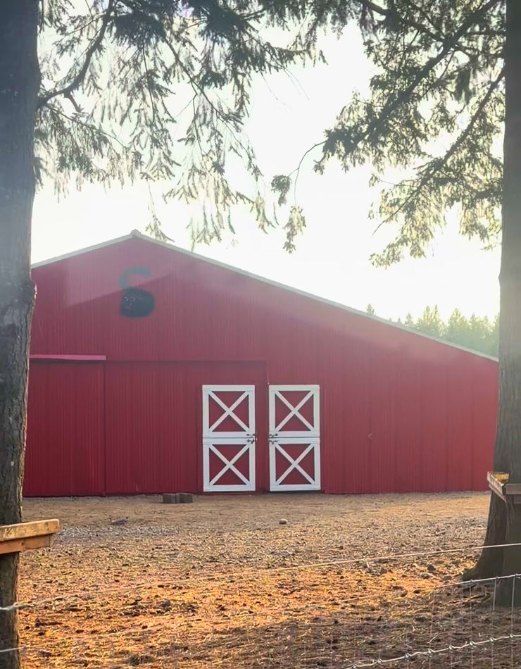 The back of the barn, with our beautiful Steven's S and shiny new doors and paint.