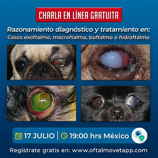 WhatsApp Image 2023-10-07 at 22.15.23 (4).jpeg