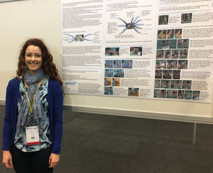 World Confederation of Physical Therapy Congress, Cape Town