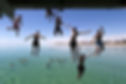 Photo shows people mid fall jumping off jetty into the ocean