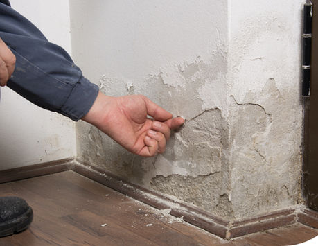 damp proof. jpeg
