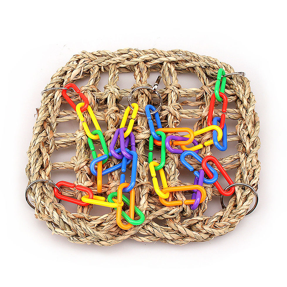 Thumbnail: Parrot Climbing Swing and Bird Cage Accessories