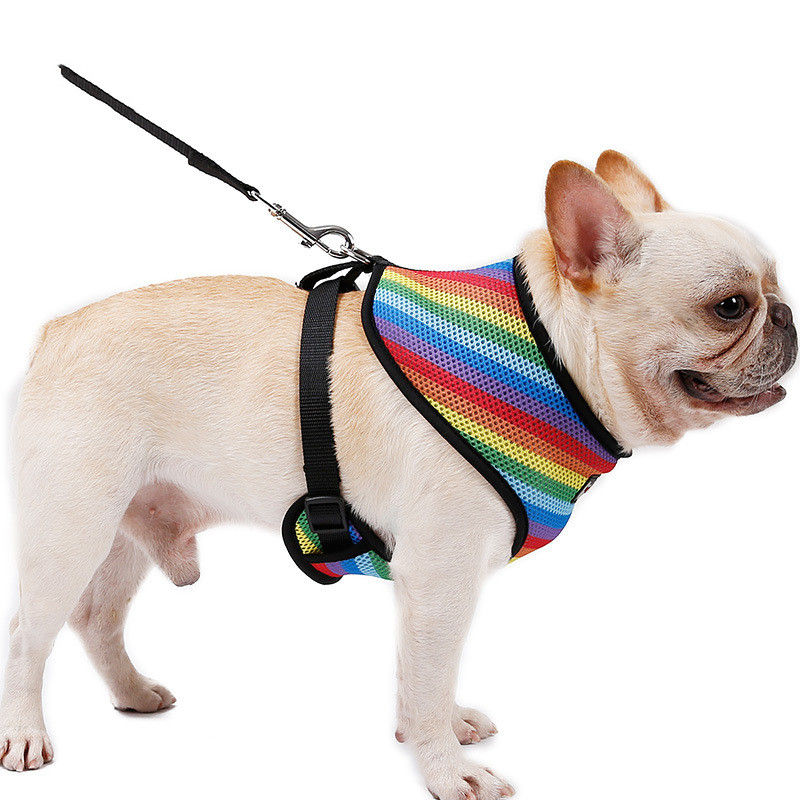 Rainbow Chest Strap