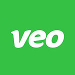 veo logo.PNG