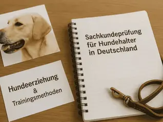 Sachkundeprüfung für Hundehalter in Deutschland – Unterlagen zu Hundeerziehung, Training und Hundeverhalten neben Foto eines Hundes