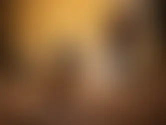 Mantrailing Hund bei der Personensuche im Wald während eines Trainings.