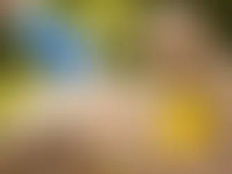 Verdächtiger Giftköder mit blauen Giftpellets wird mit Handschuhen in eine Plastiktüte gesichert, während ein Hund im Hintergrund auf einem Waldweg wartet.