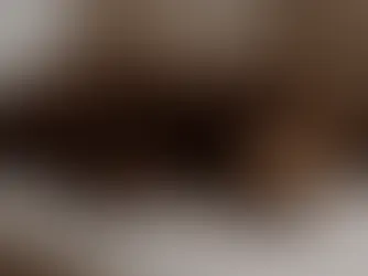 Schlafender Hund träumt auf der Couch und zuckt mit den Pfoten