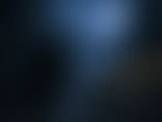 Labrador Retriever bewegt sich sicher durch einen dunklen Wald bei Nacht, seine Augen reflektieren das Licht (Tapetum lucidum) und zeigen die ausgeprägte Nachtsicht von Hunden