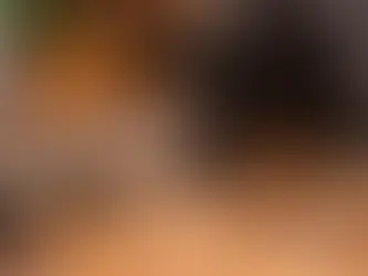 Hund beschäftigt sich mit Intelligenzspielzeug und Schnüffelteppich im Wohnzimmer – Denksport und Nasenarbeit zur geistigen Auslastung.