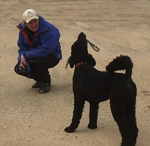 Michael Sauerwein zertifizierter Hundetrainer Merzig-Wadern Hundeschule unterHUNDs