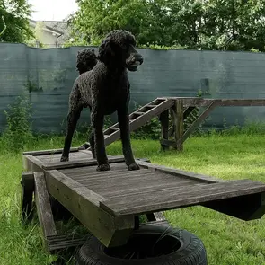 Dogility Hundeschule unterHUNDs