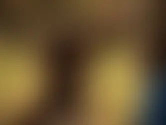 Brauner Wachtelhund erhält beim Training ein Leckerli von seinem Halter – Beispiel für Motivation im Hundetraining durch positive Verstärkung.