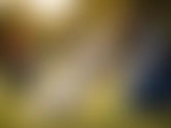Gewaltfreies Hundetraining mit positiver Verstärkung – Trainerin belohnt jungen Hund im Gruppentraining im Freien