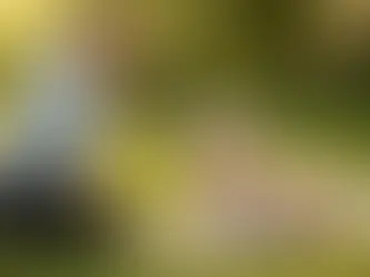 Ruhiger Golden Retriever liegt entspannt auf einer Matte im Park, während eine Person daneben kniet und ruhiges Verhalten mit einem Leckerli belohnt, in einer reizarmen Umgebung mit Fokus auf Entspannung und Kontrolle