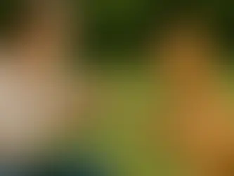 Einführung ins Clickertraining