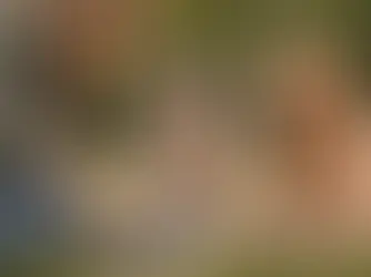 Zwei Hunde beobachten eine Person beim Öffnen eines Futterpuzzles – Illustration für Überimitation und soziales Lernen bei Hunden.