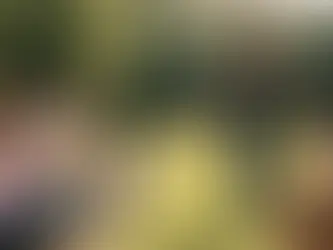 Hundetraining in einer Hundeschule: Trainerin erklärt Übungen für mehrere Mensch-Hund-Teams auf einem Trainingsplatz im Freien.