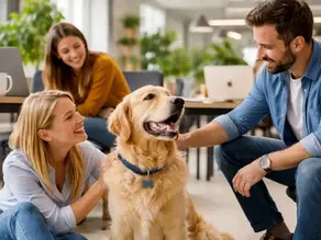Bürohund im modernen Büro: Golden Retriever wird von Mitarbeitern gestreichelt und sorgt für entspannte Atmosphäre und positives Arbeitsklima am Arbeitsplatz.
