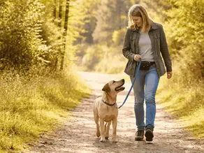Hund läuft entspannt an lockerer Leine neben seiner Halterin auf einem Waldweg – Beispiel für ruhige und harmonische Leinenführigkeit beim Spaziergang.