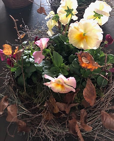 Herbstblüher