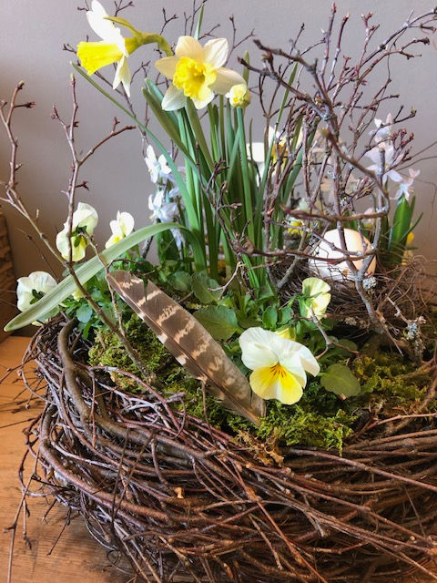 Frühlingserwachen im Garten 2