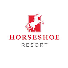 HSR-LOGO(grey) (1).jpg