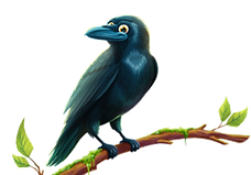 bird vbs_edited.png