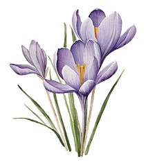 Super (4)_edited.png