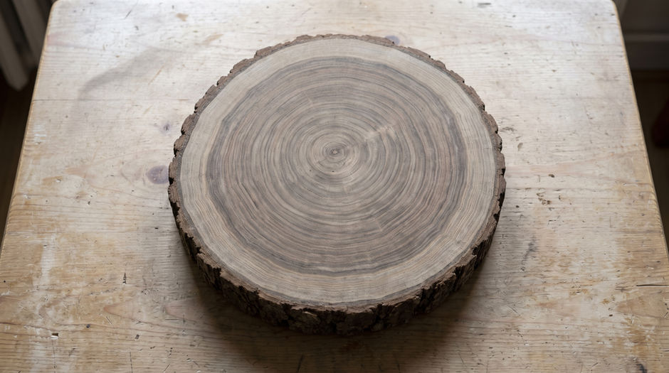 A thick cross-section slab of a sawn tree trunk showing its concentric annual growth rings, lying on a bare pale wooden tabletop in soft daylight.