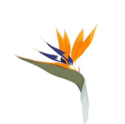 The School Of Garden Design Hillcrest Kwazulu Natal Each visitor makes around 4.43 page views on average. the school of garden design hillcrest