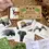 Thumbnail: Wildlife of South Africa Memory Game