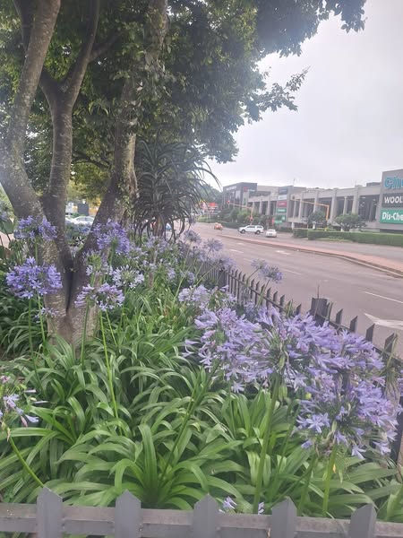 Landmark Landscaping | Christian's Village | Hillcrest | 30