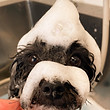 S__231948336_edited.jpg