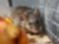 Foto servicios pagina (1).png