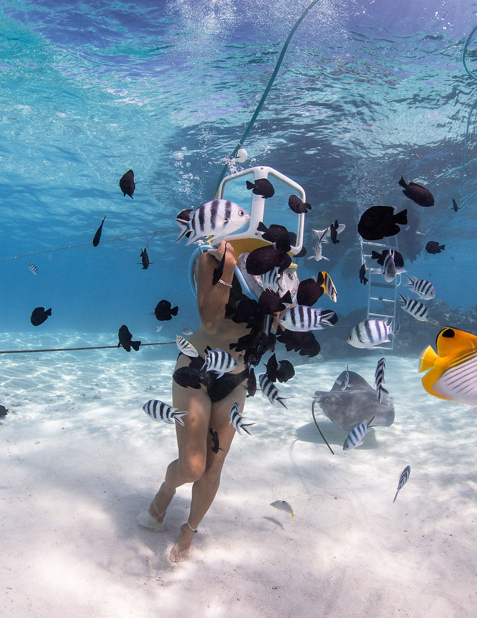 Tour en privé en scaphandre plongée bora broa
