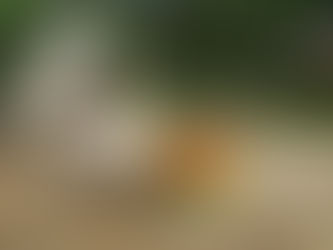 Recette spéciale coupe du monde : Guacamole maison pimenté, salsa piquante